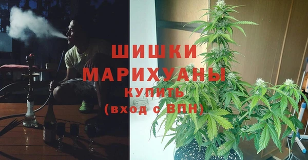 Альфа ПВП Алексин
