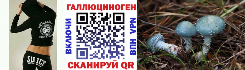 где купить наркоту  Красноуральск  Псилоцибиновые грибы мухоморы 